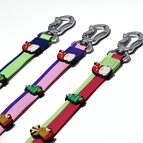 The New Dual-Color Embossed Pet Leash Set Is A Pet Product That