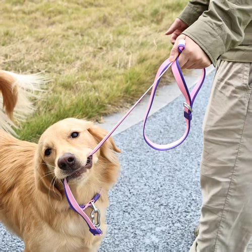 The New Dual-Color Embossed Pet Leash Set Is A Pet Product That